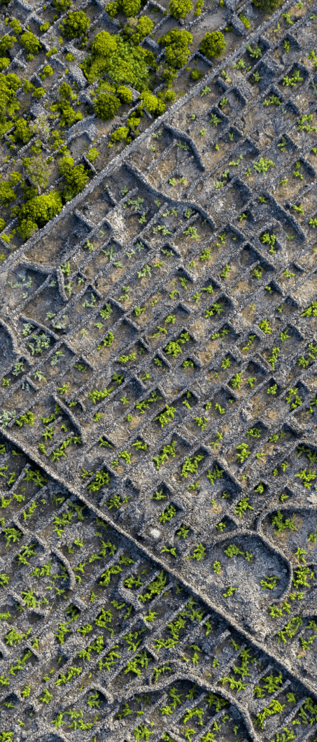 Lava Labyrinths