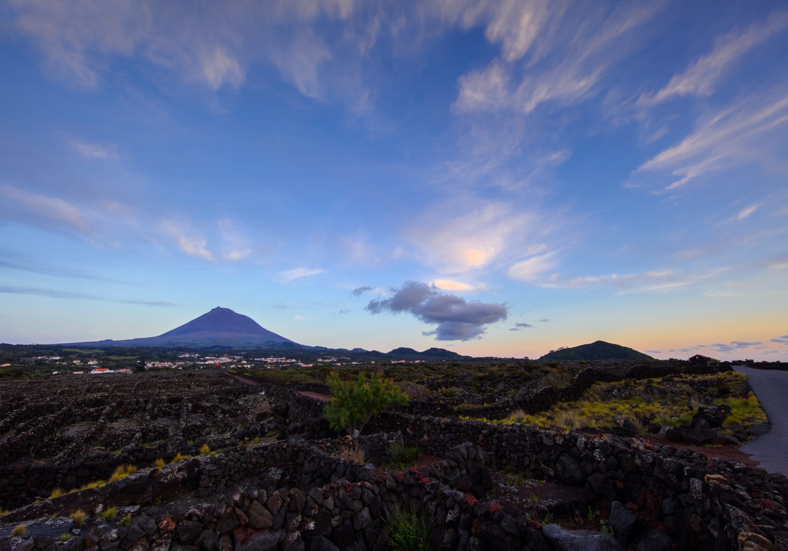 Discover the Island and the Wines of Pico Picowines, Ilha do Pico Coop